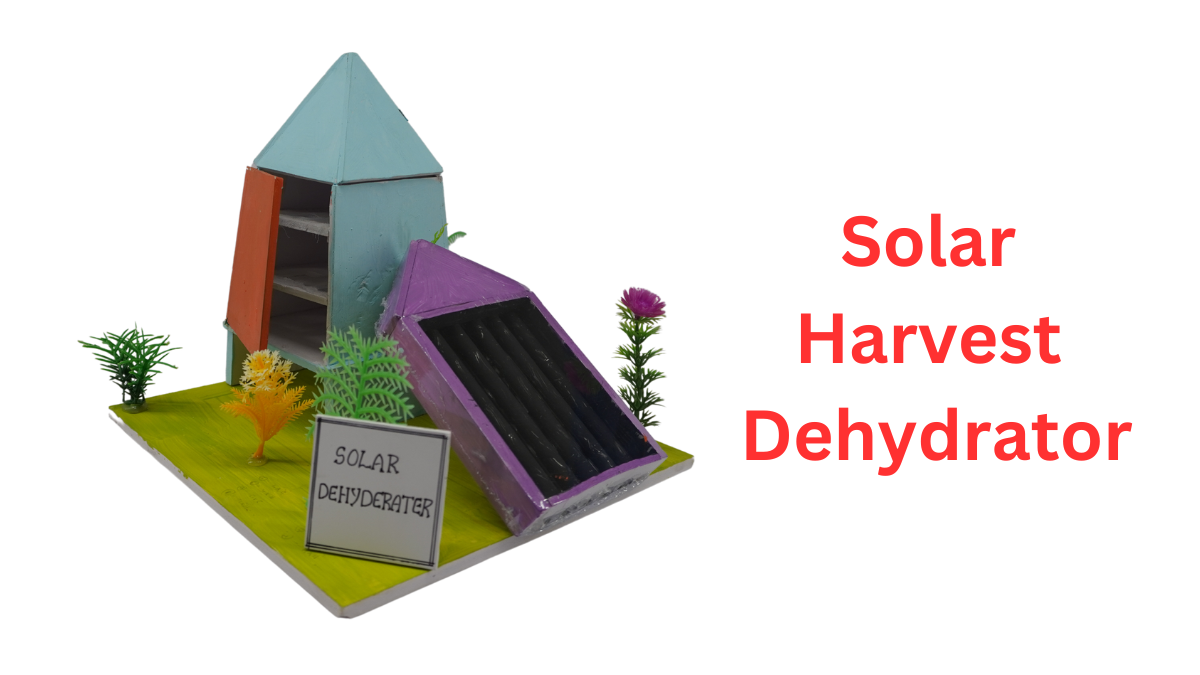 Solar Harvest Dehydrator