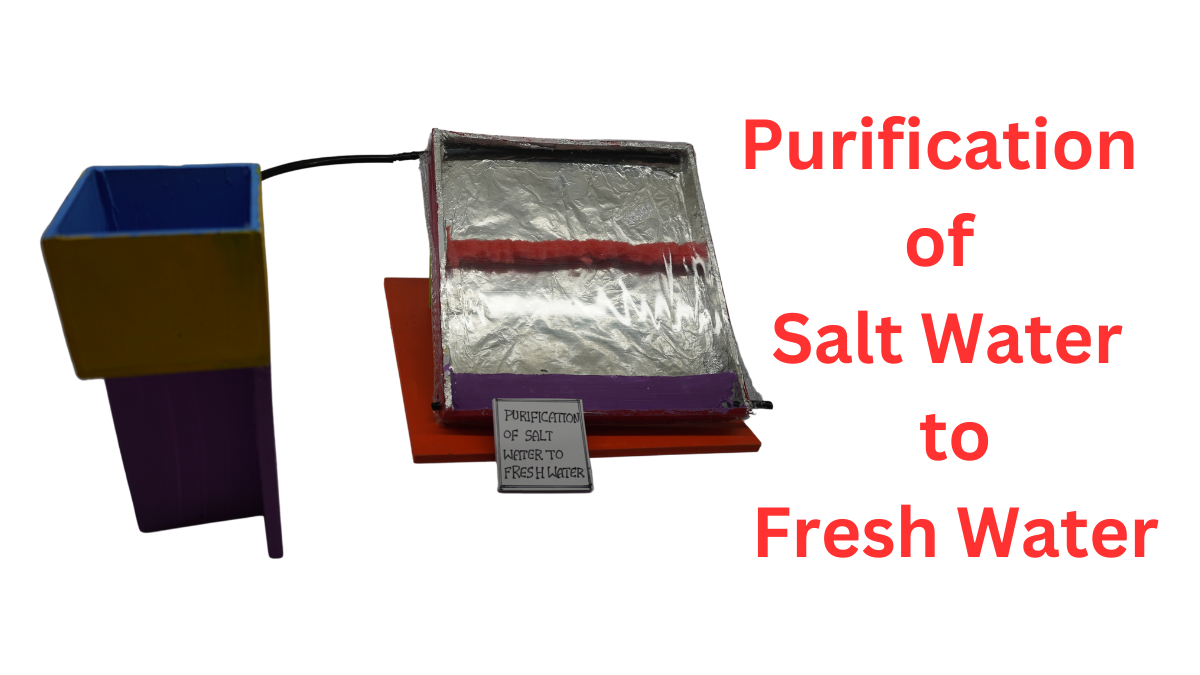 Purification of Salt Water to Fresh Water