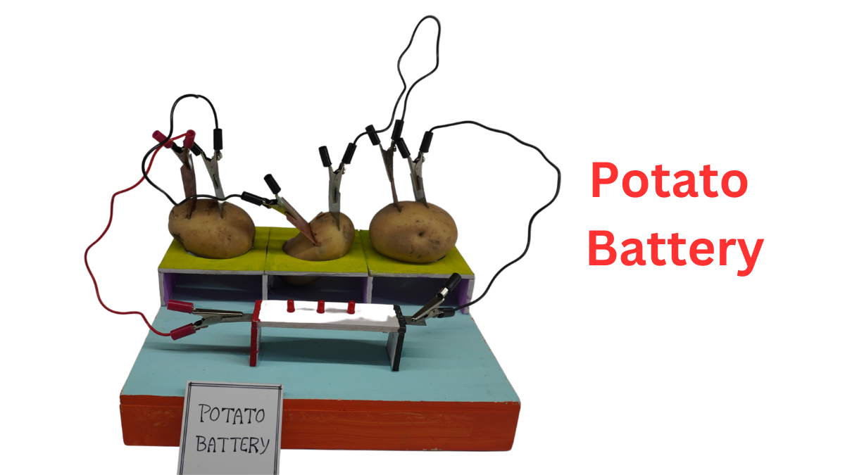 Potato Battery