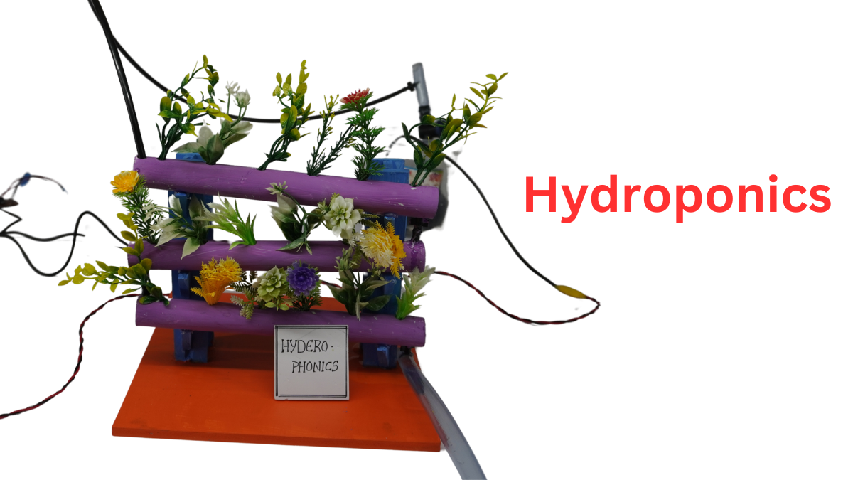 Hydroponics