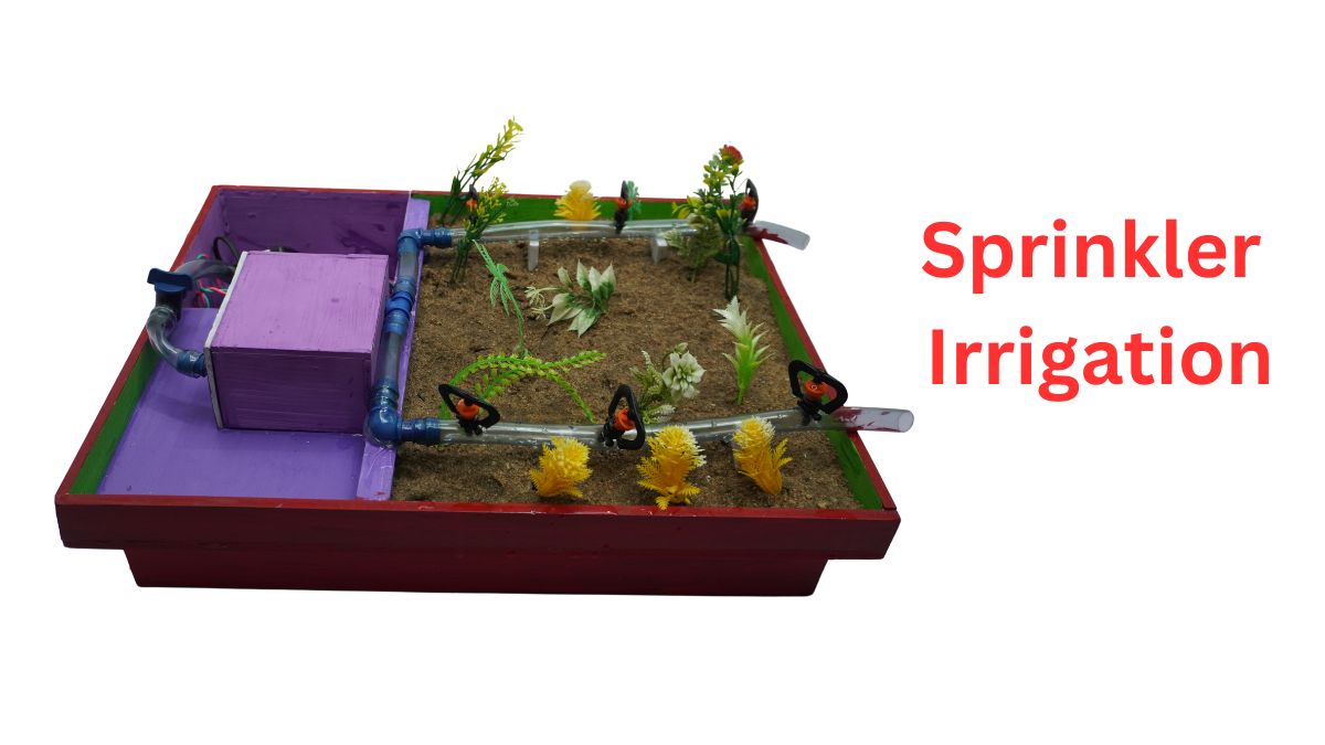 Sprinkler Irrigation