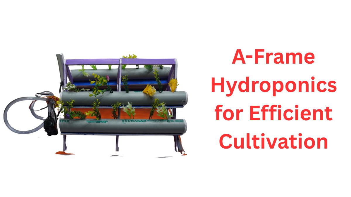 A-Frame Hydroponics for Efficient Cultivation